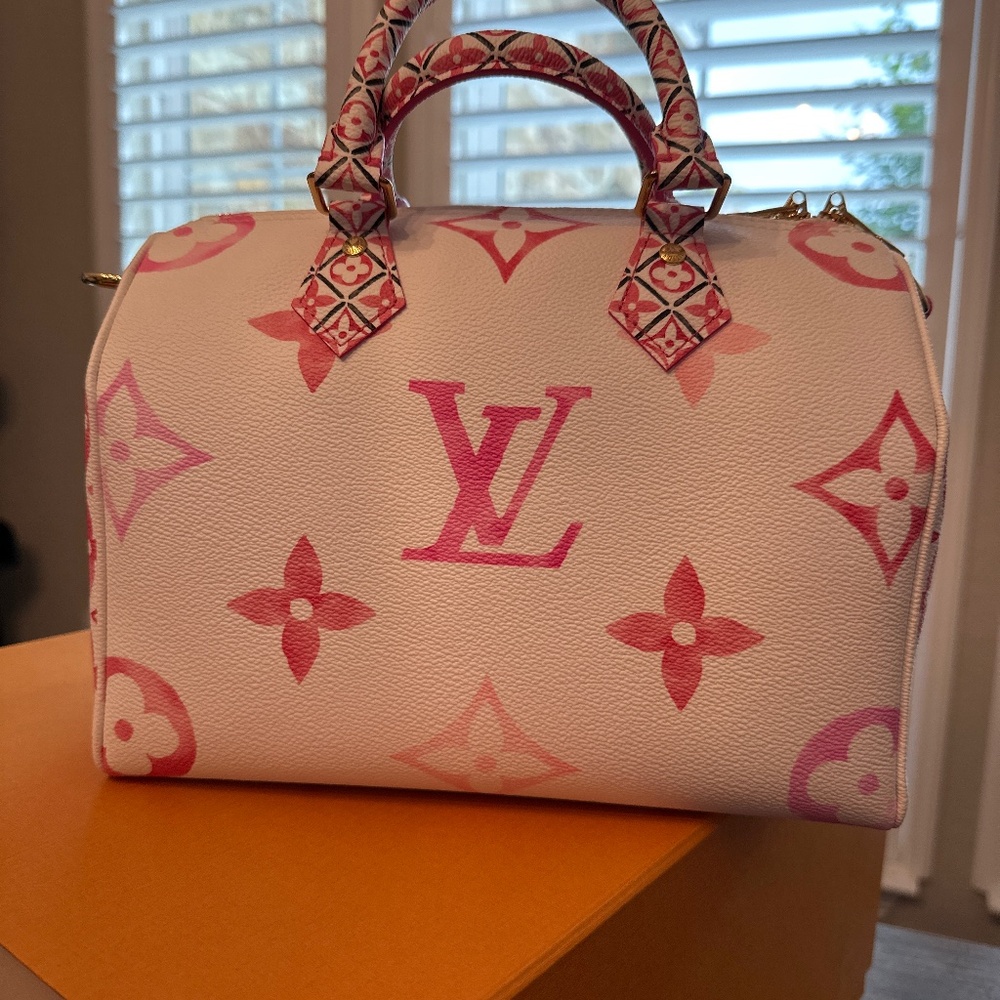 Louis Vuitton By the Pool Speedy 25